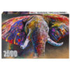 RGS Colour Run 1500piece