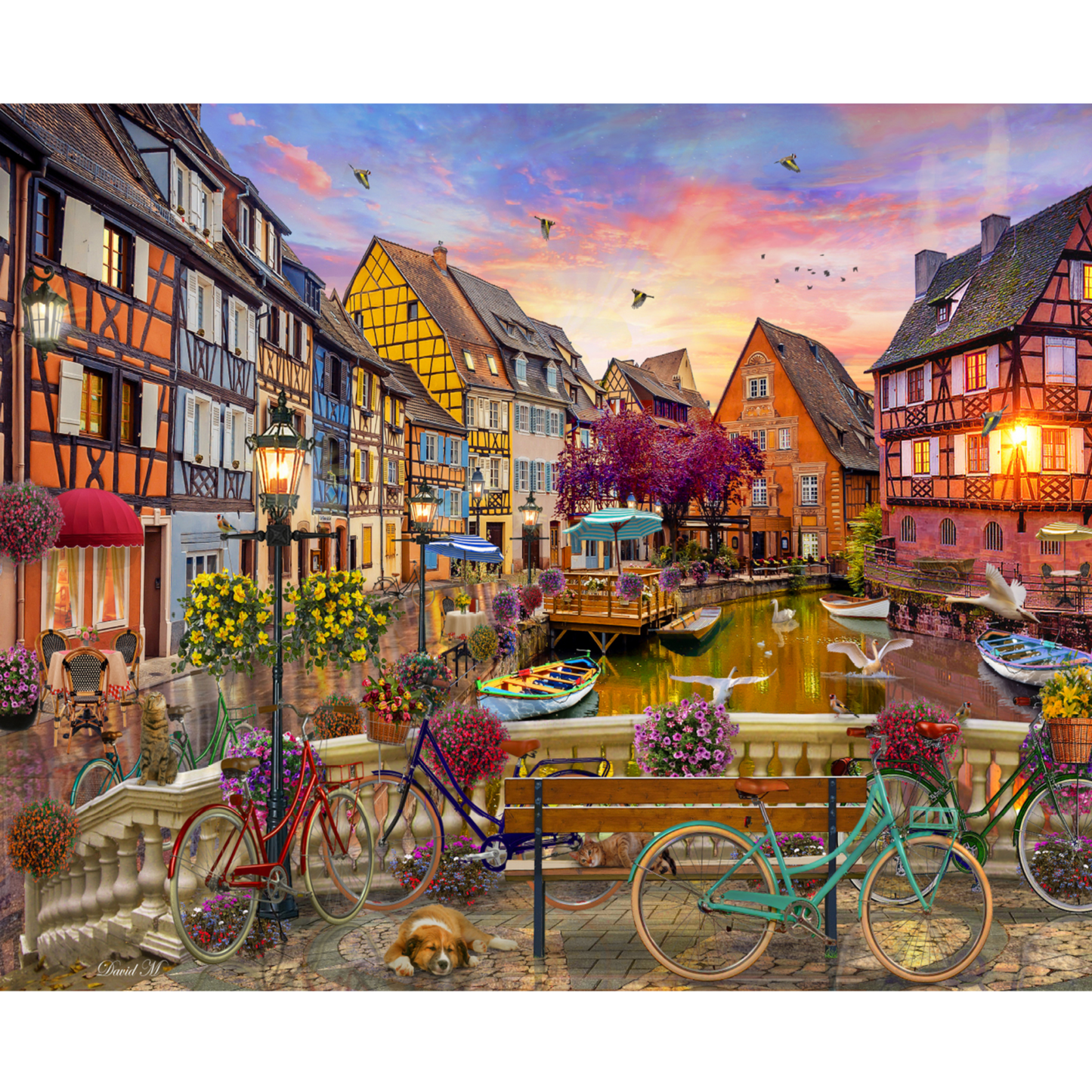 RGS Cycling at Colmar 1000