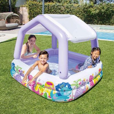 Intex Sun Shade Pool