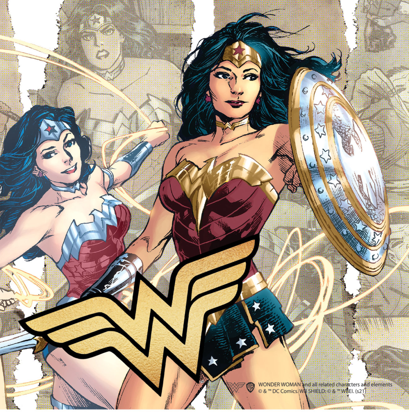 RGS Mini Wonder Woman (81pc) in Disp unit