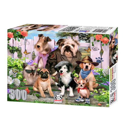 RGS  Cool Dudes 300pcs