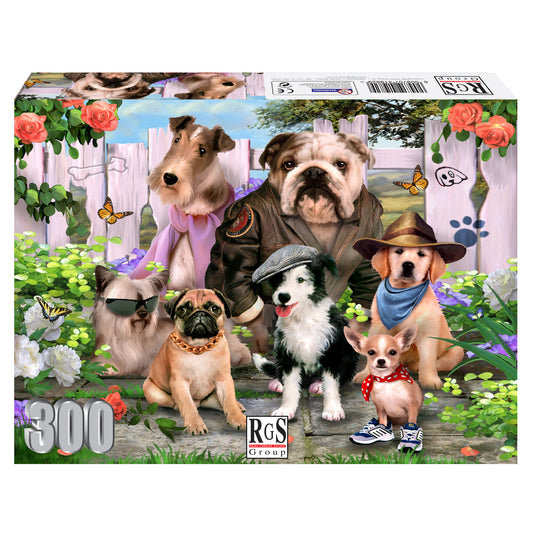 RGS  Cool Dudes 300pcs