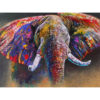 RGS Colour Run 1500piece