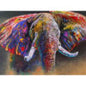 RGS Colour Run 1500piece