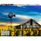 RGS Sunflowers Clarens1500