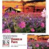 RGS Cosmos in Parys 1500pcs