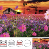 RGS Cosmos in Parys 1500pcs