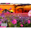 RGS Cosmos in Parys 1500pcs