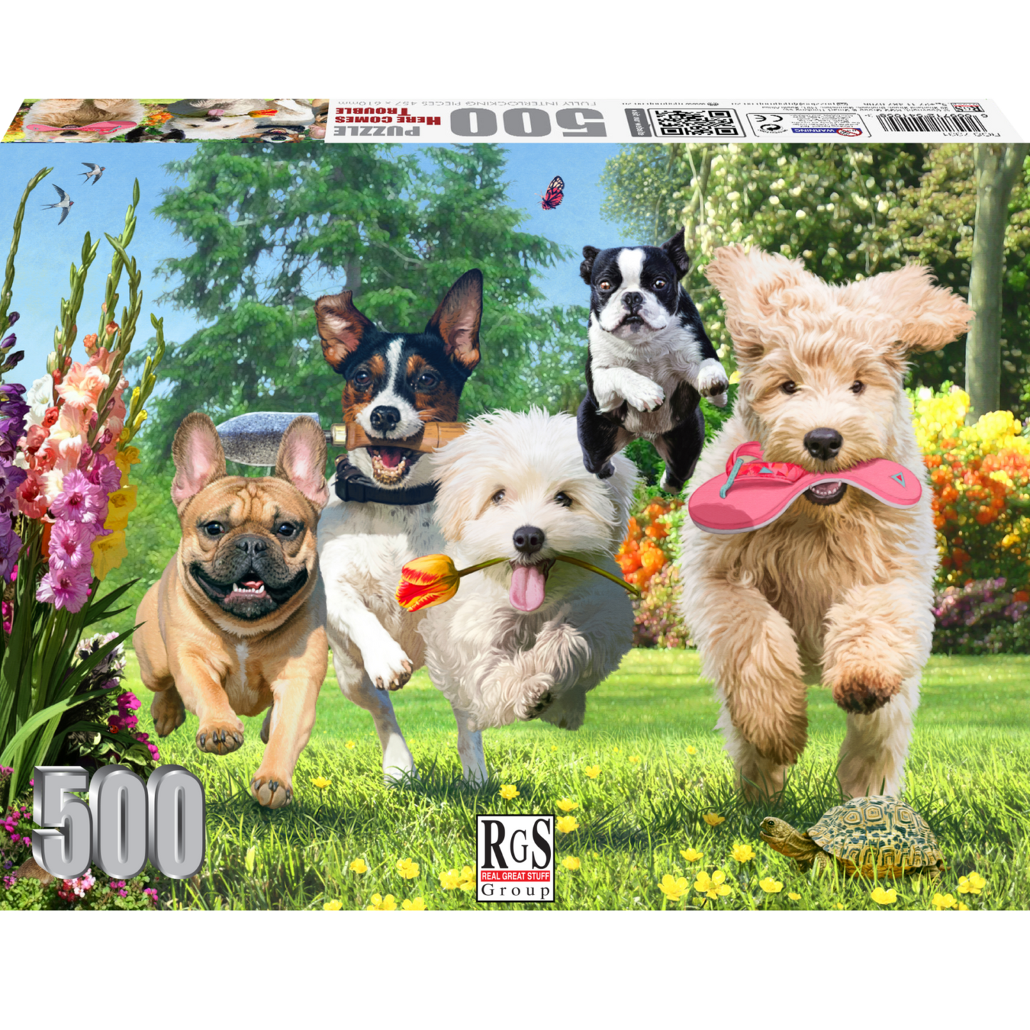 RGS Here comes trouble 500pcs