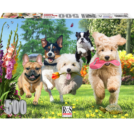 RGS Here comes trouble 500pcs