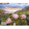 RGS Pink Proteas 1000