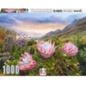 RGS Pink Proteas 1000