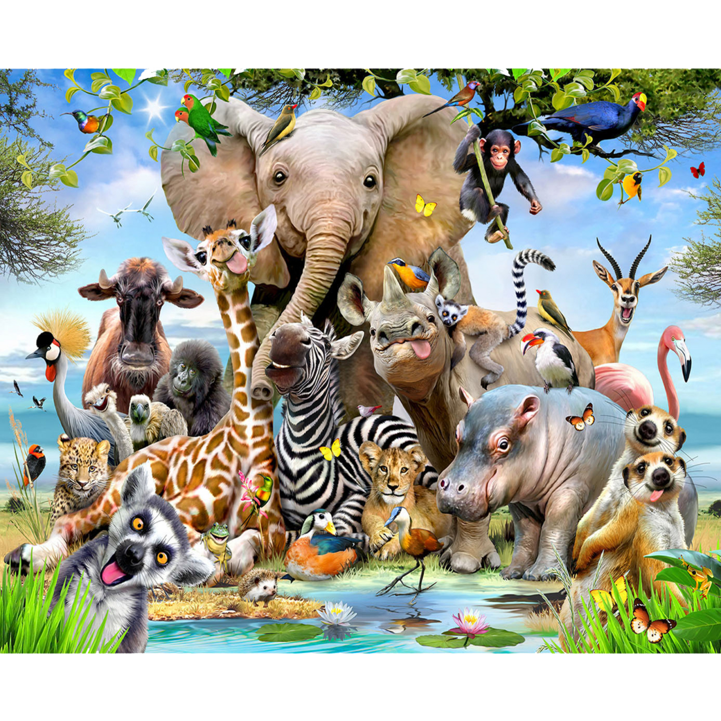 RGS Africa Selfie 1000piece