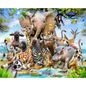 RGS Africa Selfie 1000piece