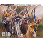 RGS Bushveld Splendour 1500