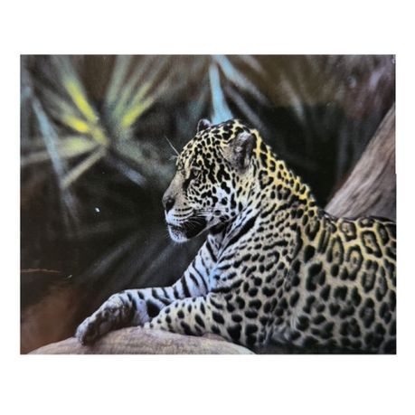 Diamond Painting DIY Kit - Full Drill Square Dot - leopard 50 x 65 cm