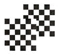 Racing Napkins 20Pcs V&N Goodies Galore